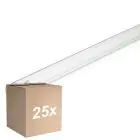 Mehrfachpackung 25x Philips T8 UV - C 25W - Ultraviolett | 44cm